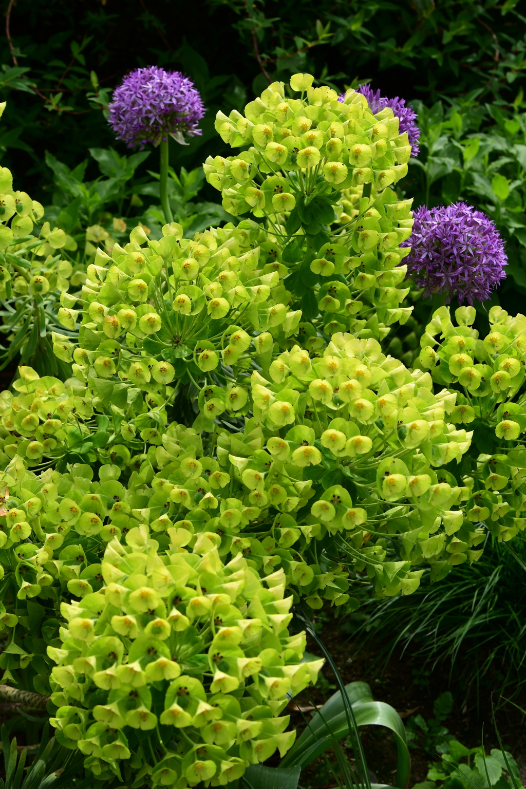 忍びよる熱帯夜