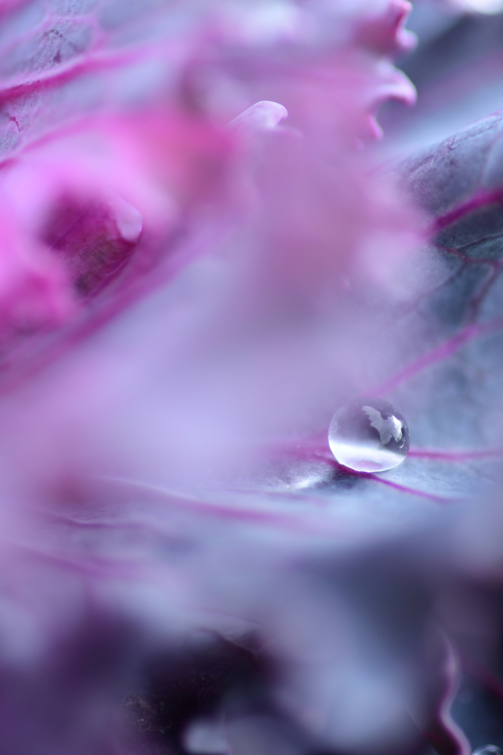 溶ければ水になる