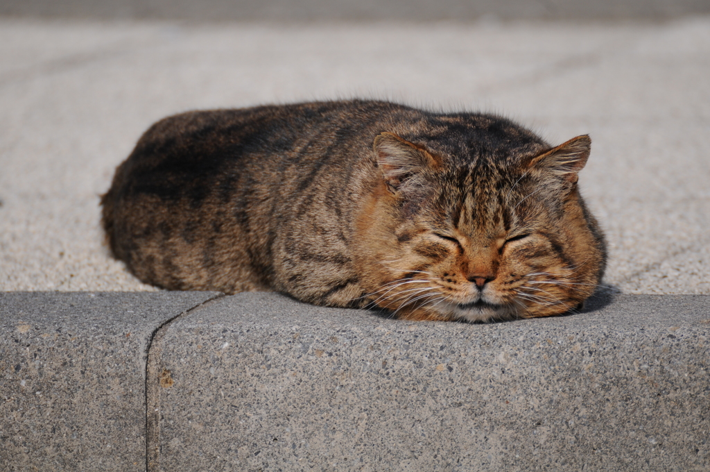 寒いんですよね。