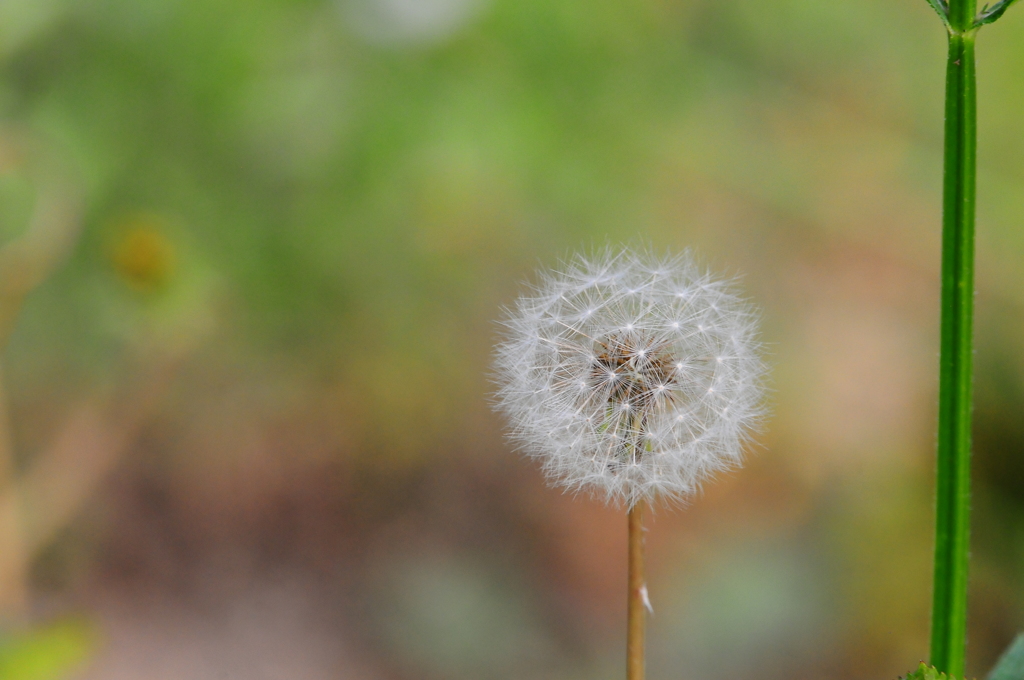 意外とシャープ