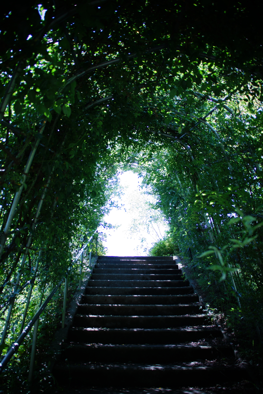 如何なる状況も臨機応変に行動せず予定を消化する