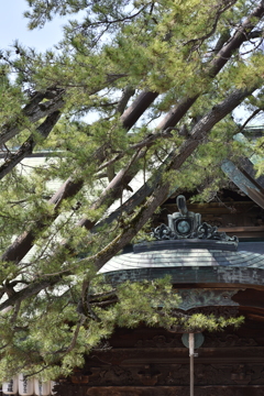 白山神社