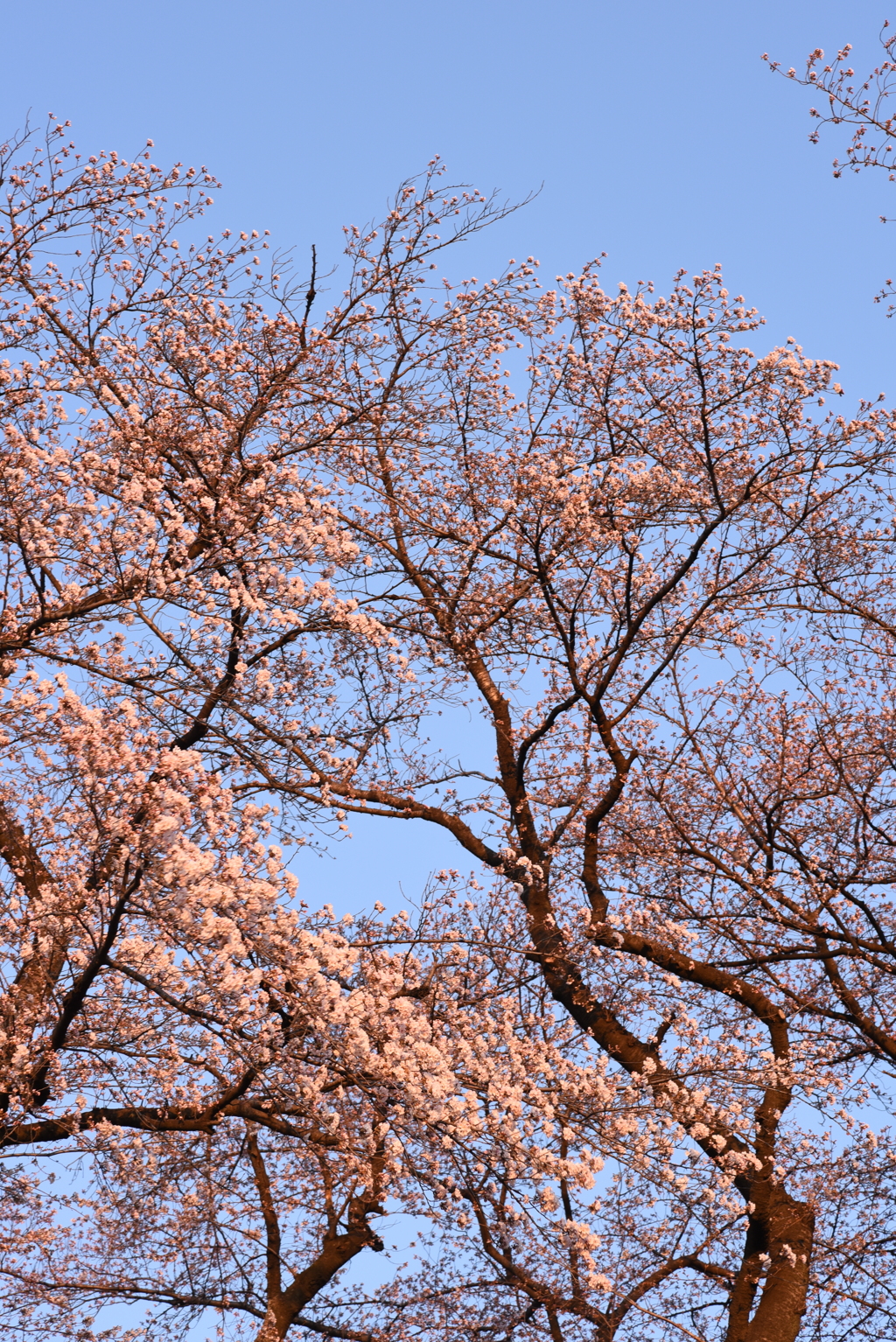 すぐ夕方