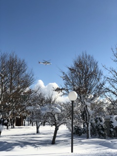 半年でこうなる