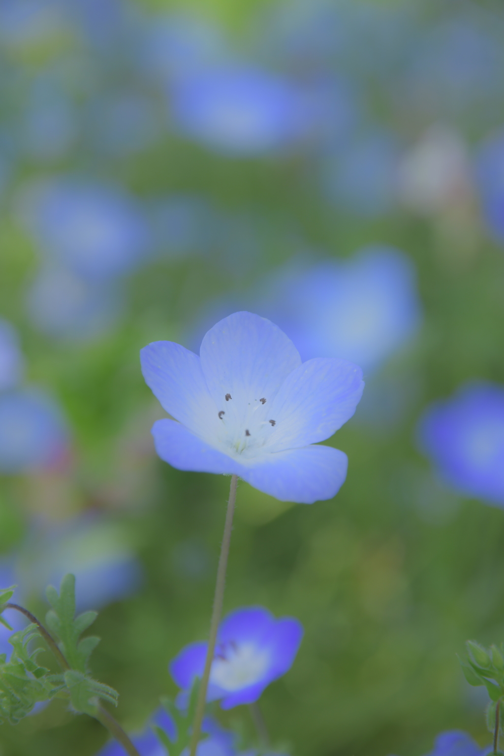 久しぶりに使ったら、結構イイ