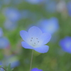 久しぶりに使ったら、結構イイ