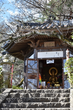咲いていればイケる