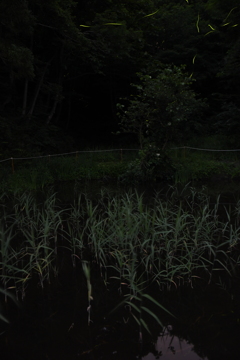 ちょっとだけ