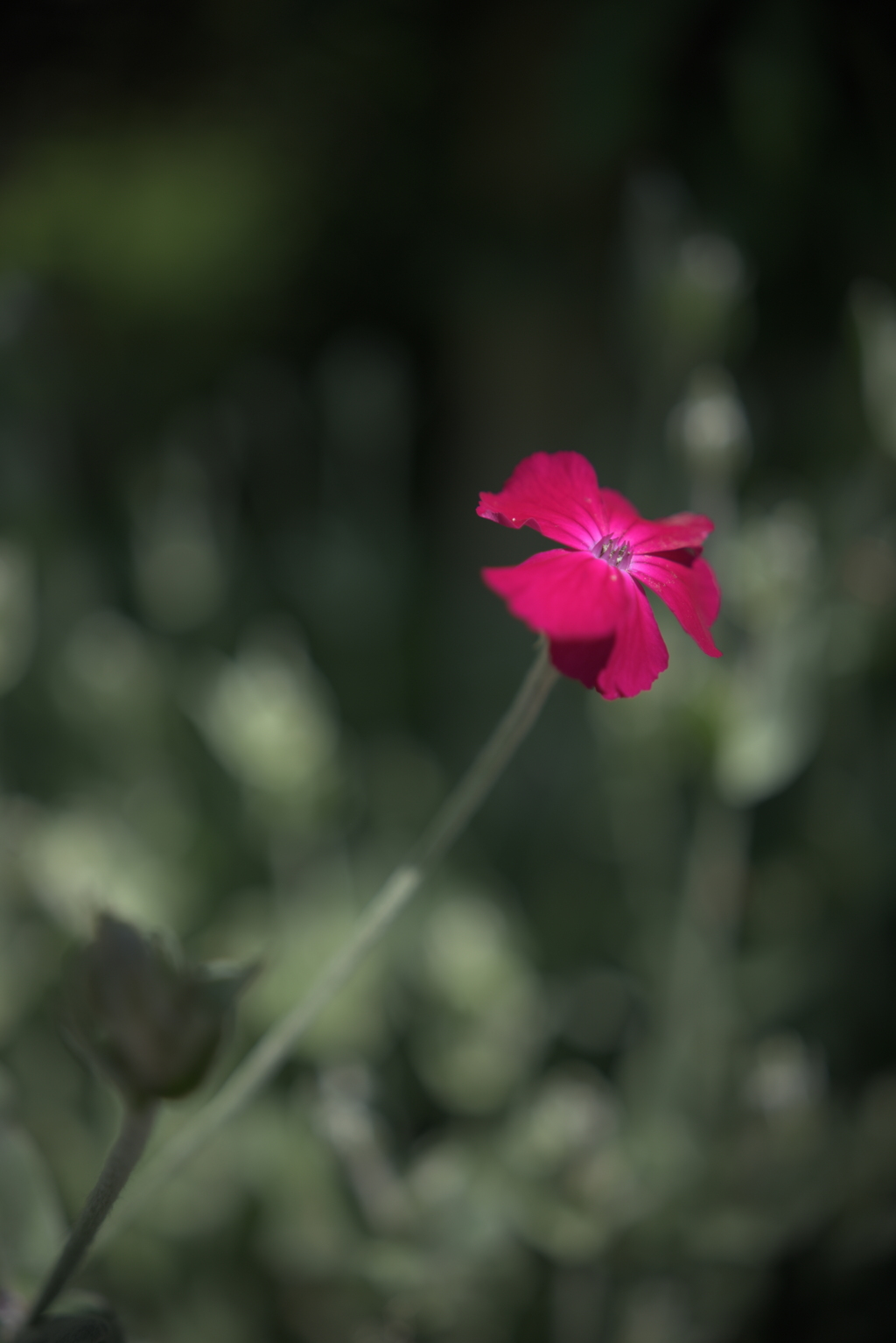 もうソーシャルディスタンスが崩れてきている