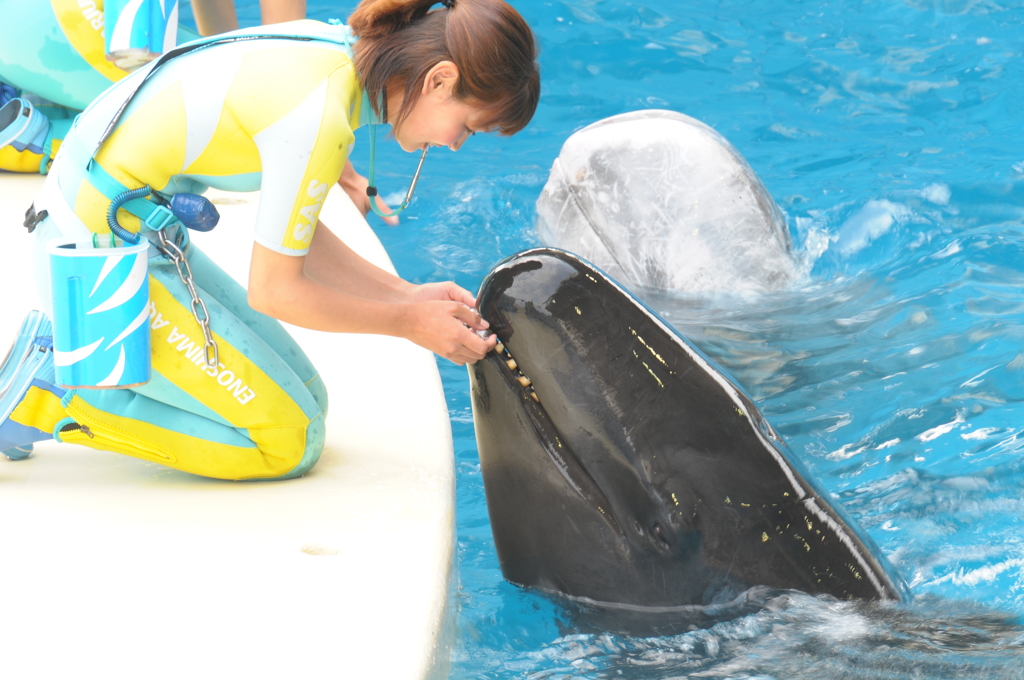 通じ合う互いの心