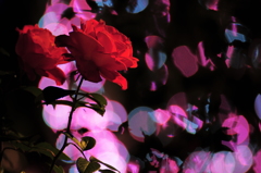 日曜日の終わり