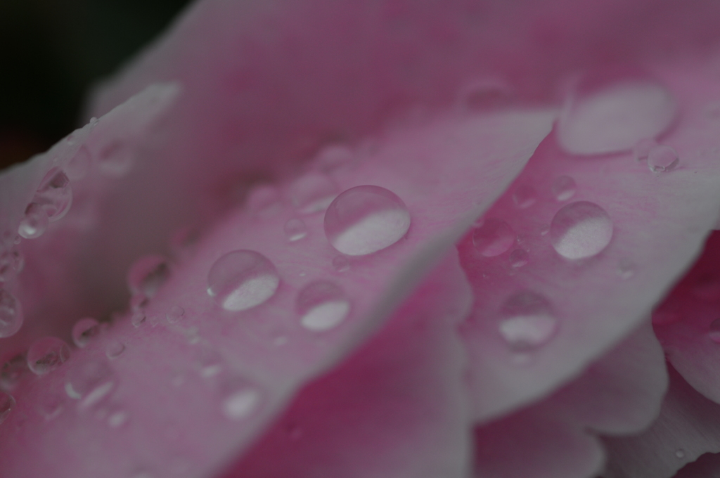 雨音と静寂