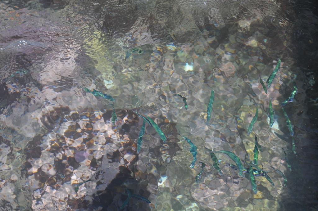 近いのに違う世界