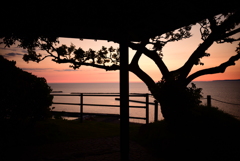 それぞれの夕日