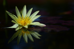 hot milkのピアノを聴きながら