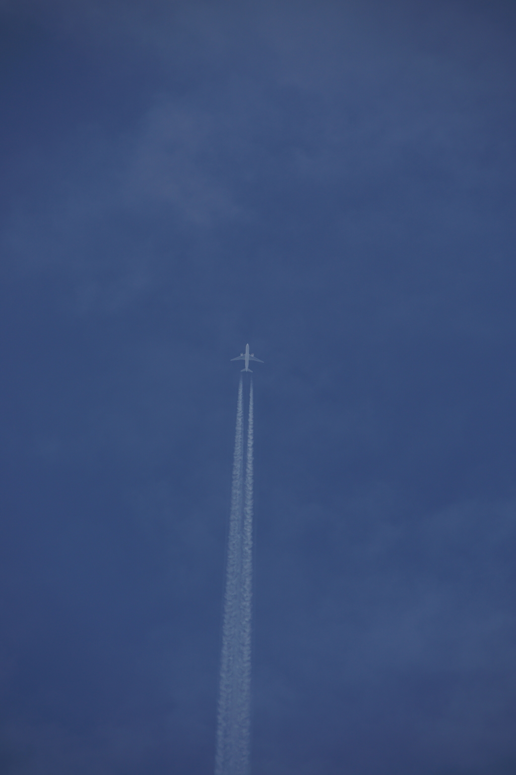 子供のころからの遠い存在