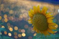 人の眼に映らないもの