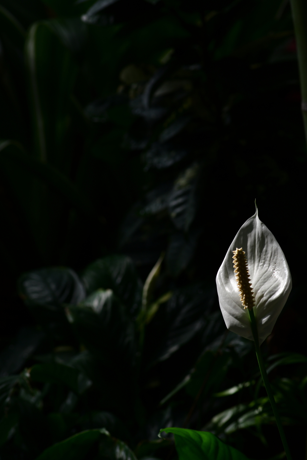 明日から１０％！