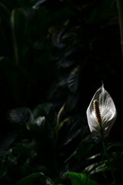 明日から１０％！