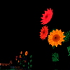 夜に咲く花
