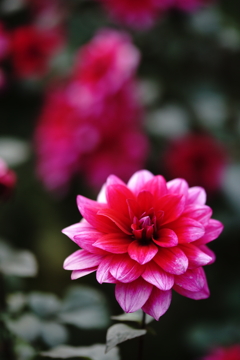 色の正確さって重要と思う