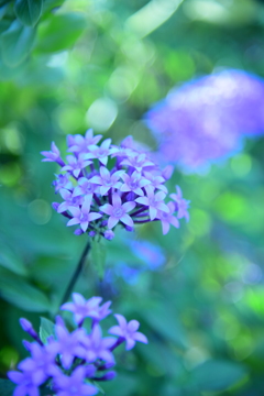 いずれ夜がくる