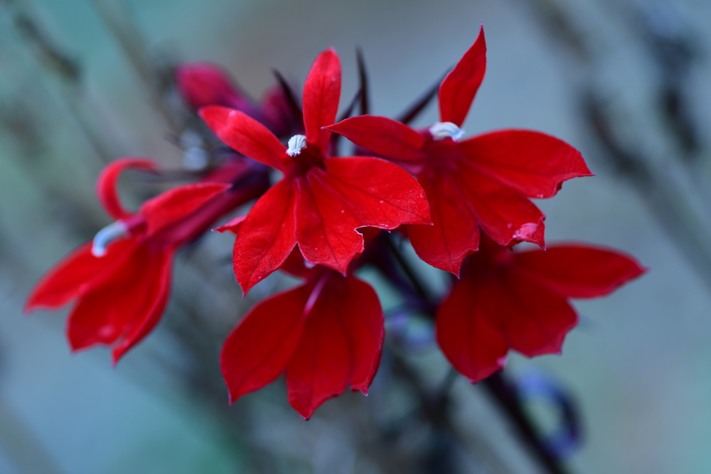 季節の移り変わり
