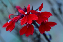 季節の移り変わり