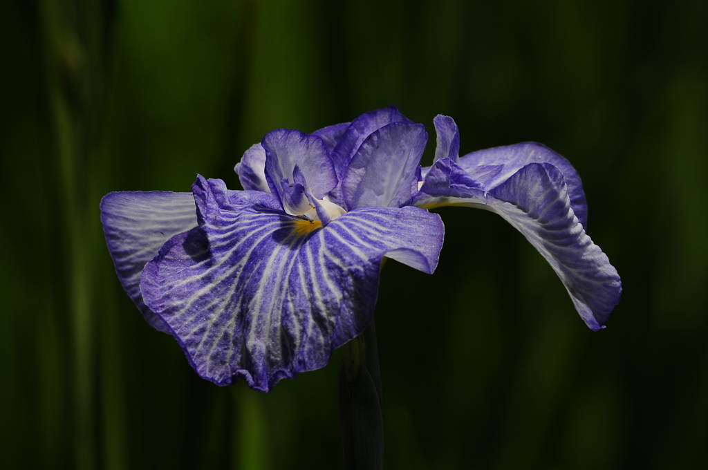 F10くらいがいいのかな