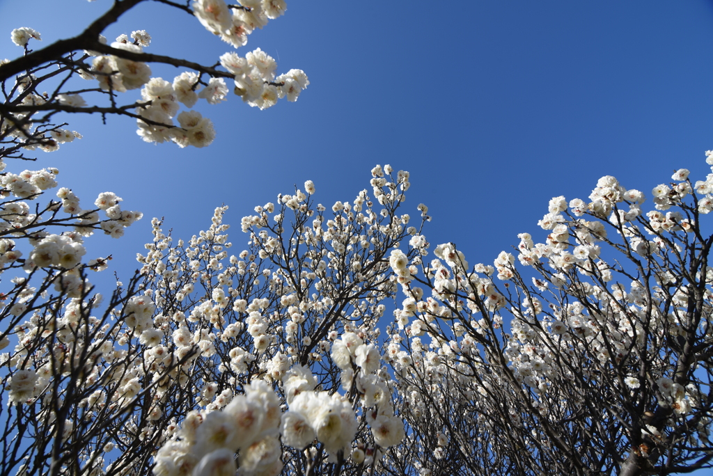 青空が貴重に感じる