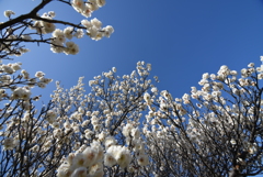 青空が貴重に感じる