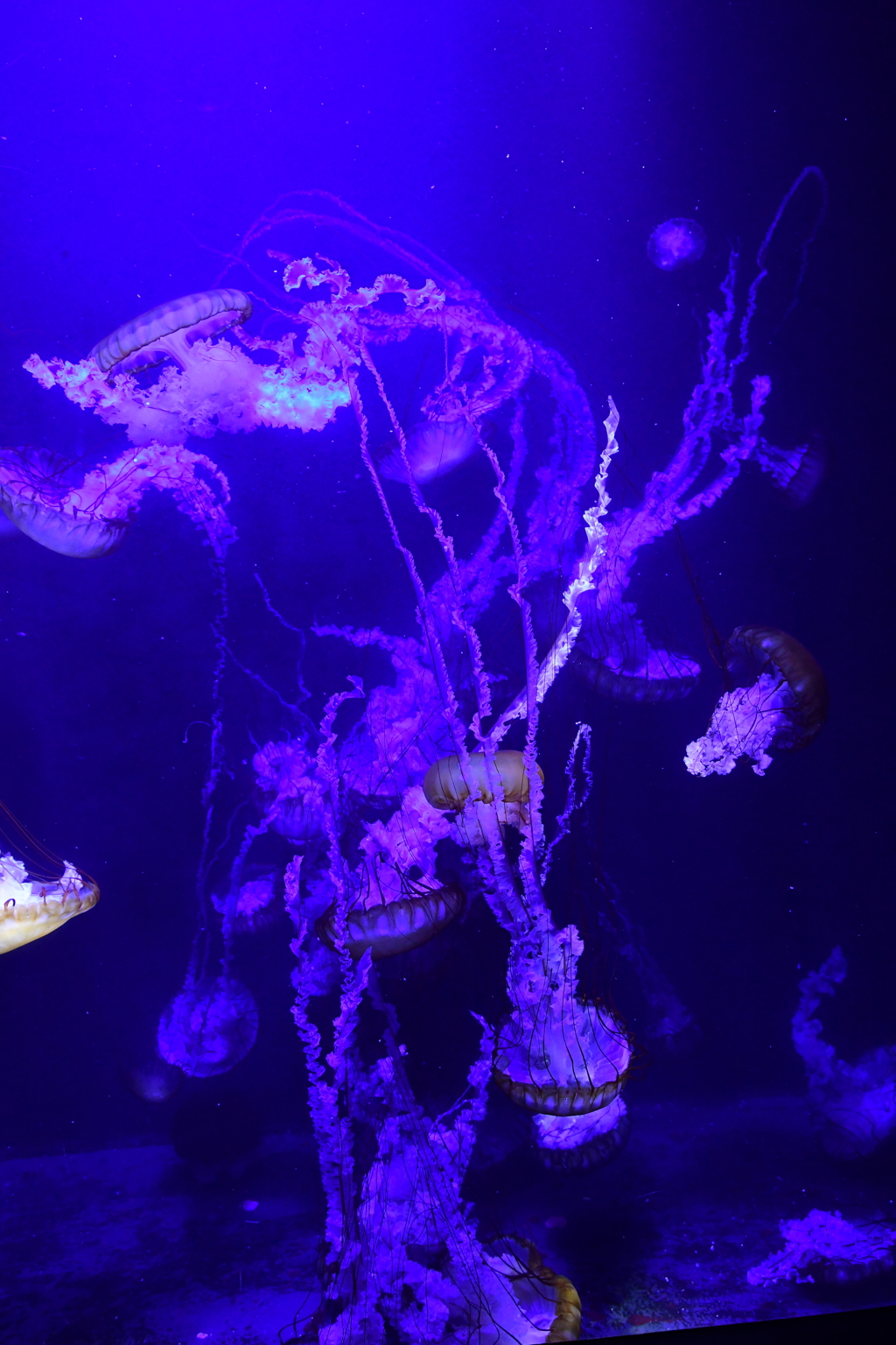 上も下も善と悪もない