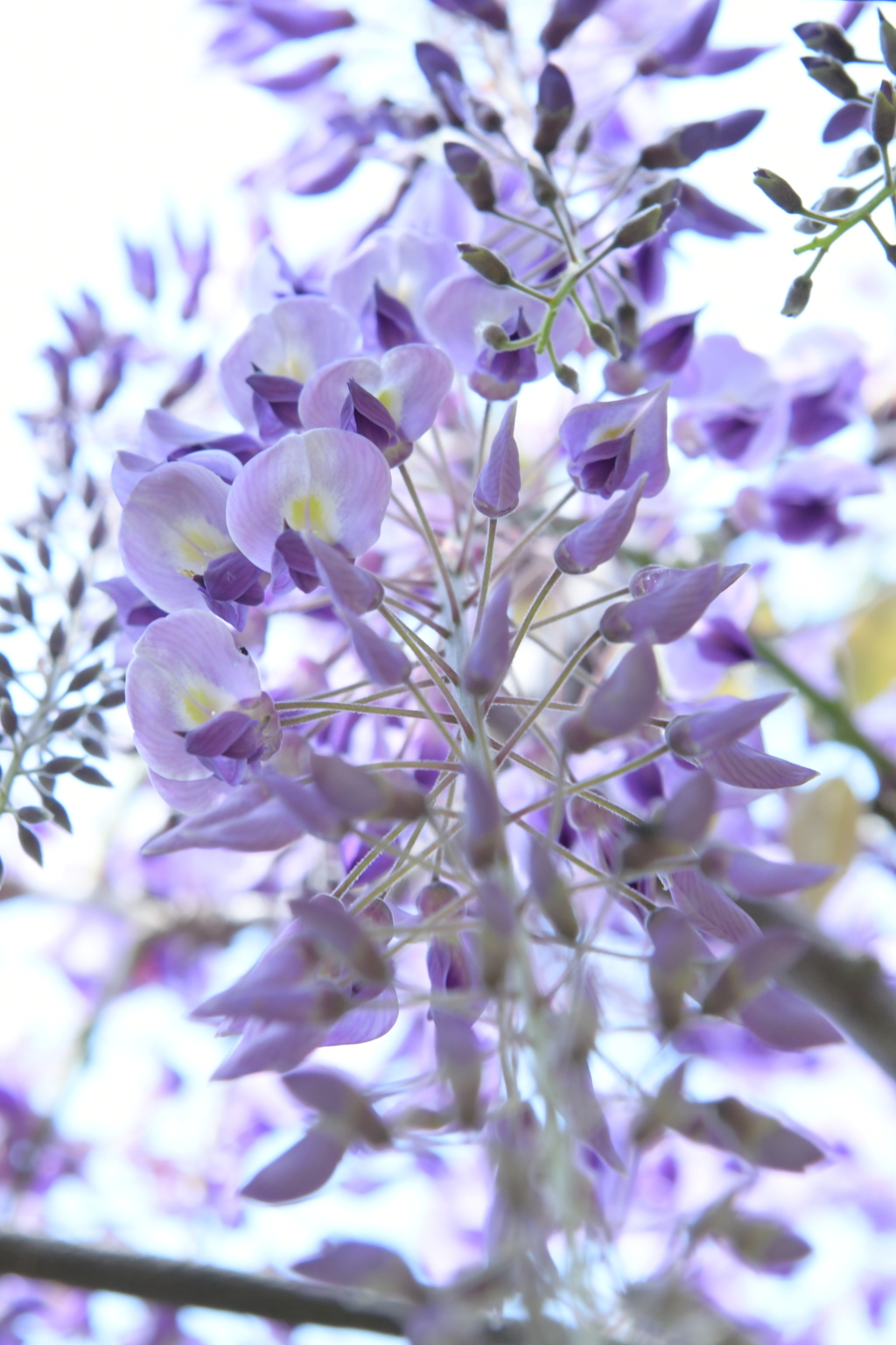 自粛は当分の間未定です。