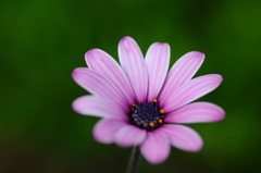 これから夏休み