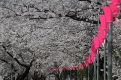 長く続く