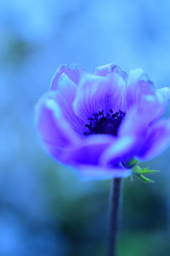 雪国と一言では言い表せない違いがある、山間部と平野部の違い