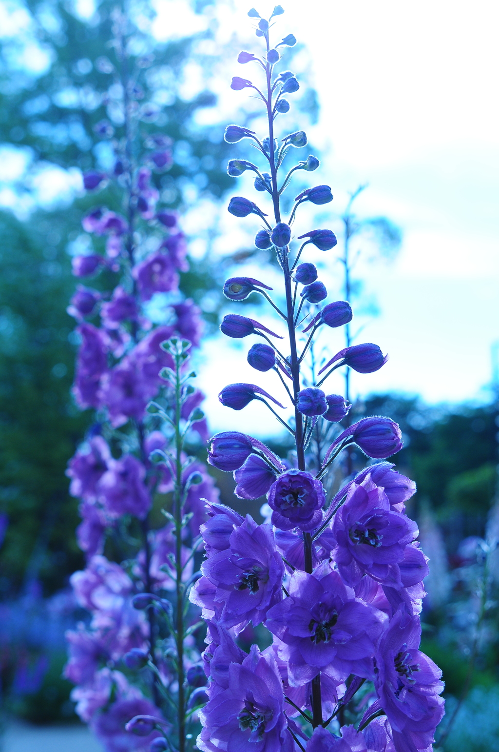 どうでもいい時間が貴重だったり
