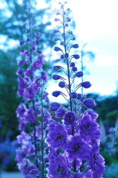 どうでもいい時間が貴重だったり