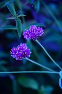 ハロウインあと少し