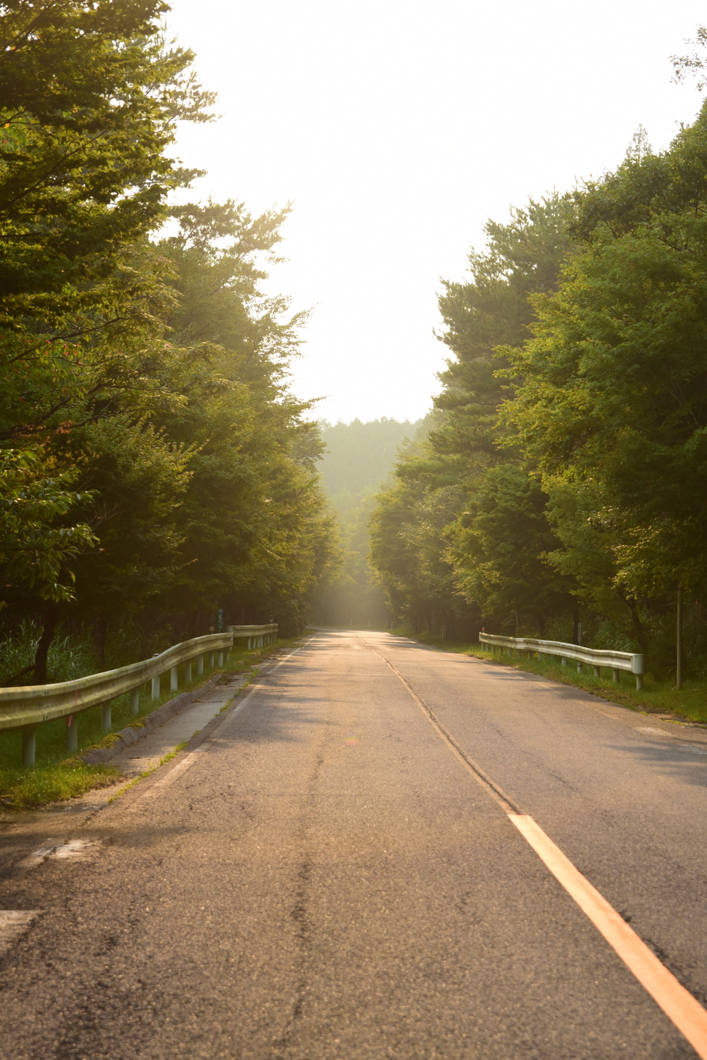 朦朧とする昼も終わりがくる