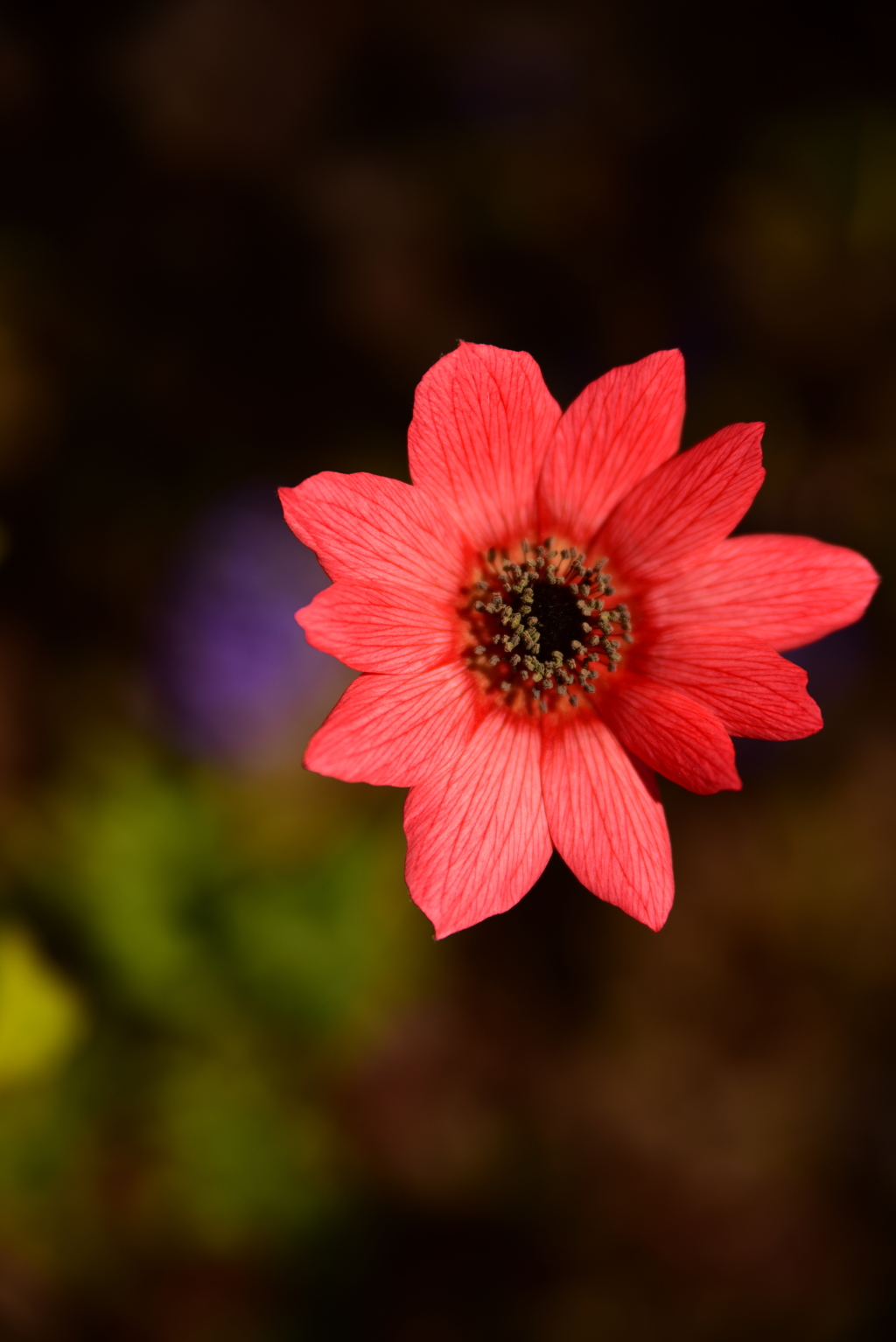 そしてぶり返す