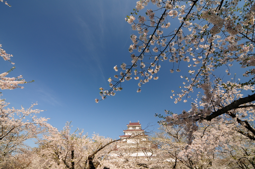 陸の孤島
