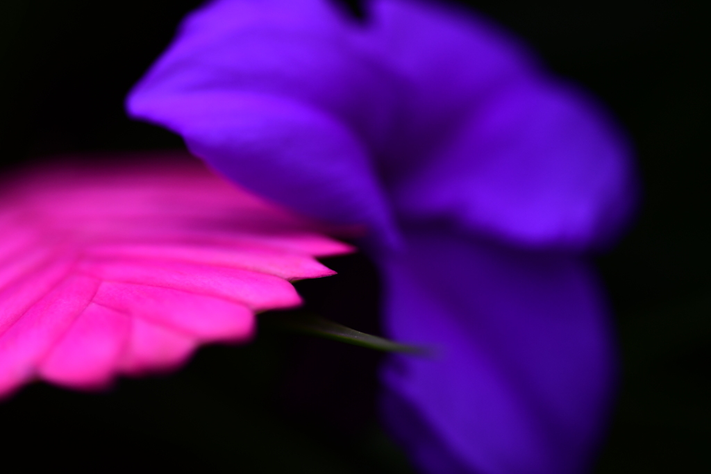 どこを撮ればいいのやら