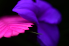 どこを撮ればいいのやら