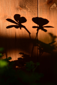 遠くからの光が熱になる