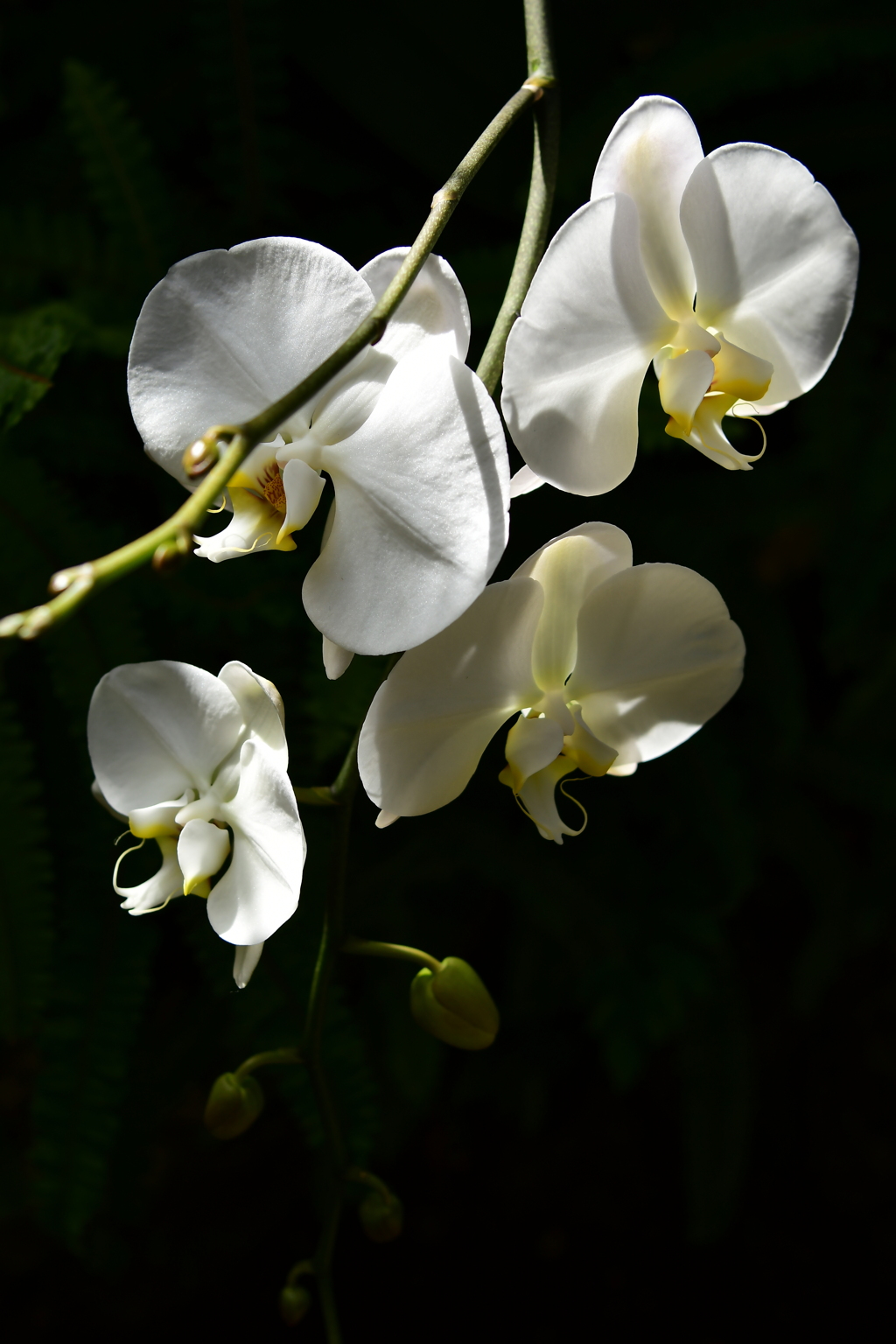 良いこと悪いこと