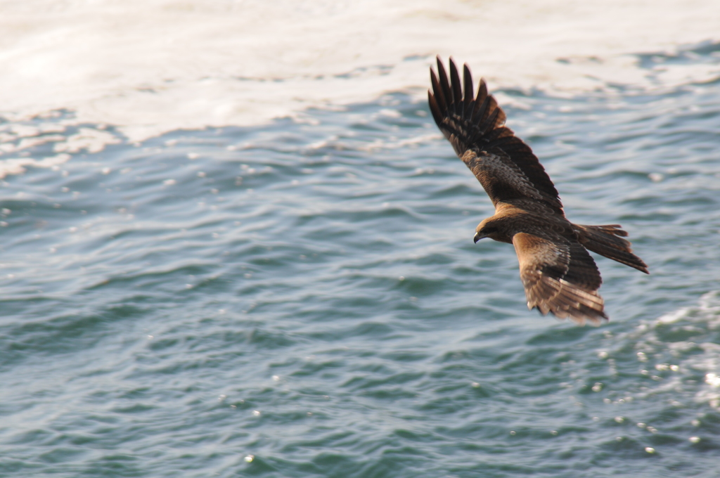 手ぶれ補正は効くけど、遅い