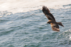 手ぶれ補正は効くけど、遅い