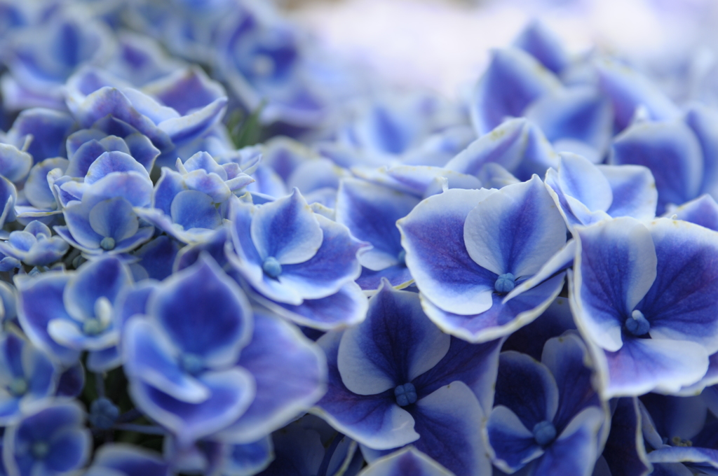 夏になる前のひと時