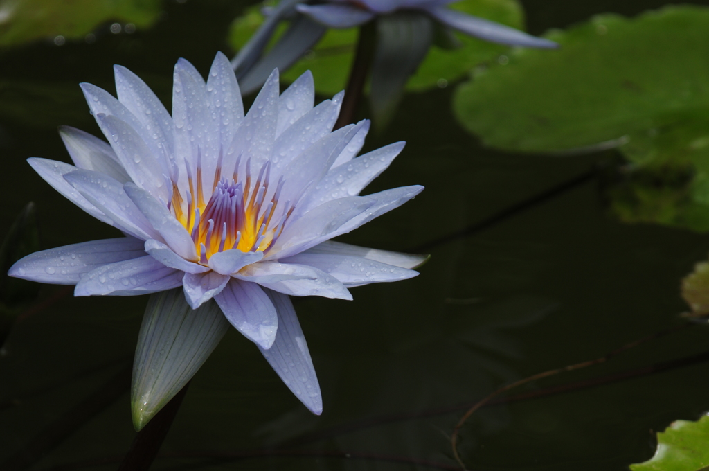 全然使っていなかったA20